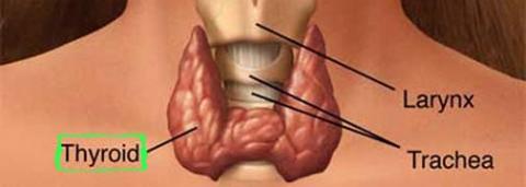 Vitiligo and thyroid disease